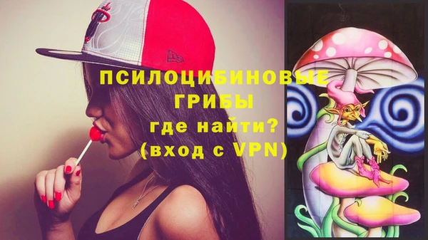 spice Анива