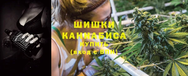 мдпв Алапаевск