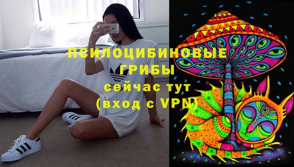 прущая мука Алагир