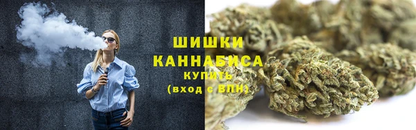 spice Анива