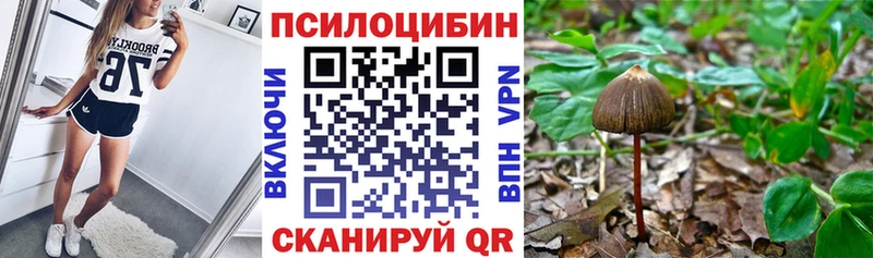 Галлюциногенные грибы GOLDEN TEACHER  Донецк 