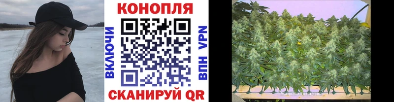 купить наркоту  Донецк  Каннабис семена 
